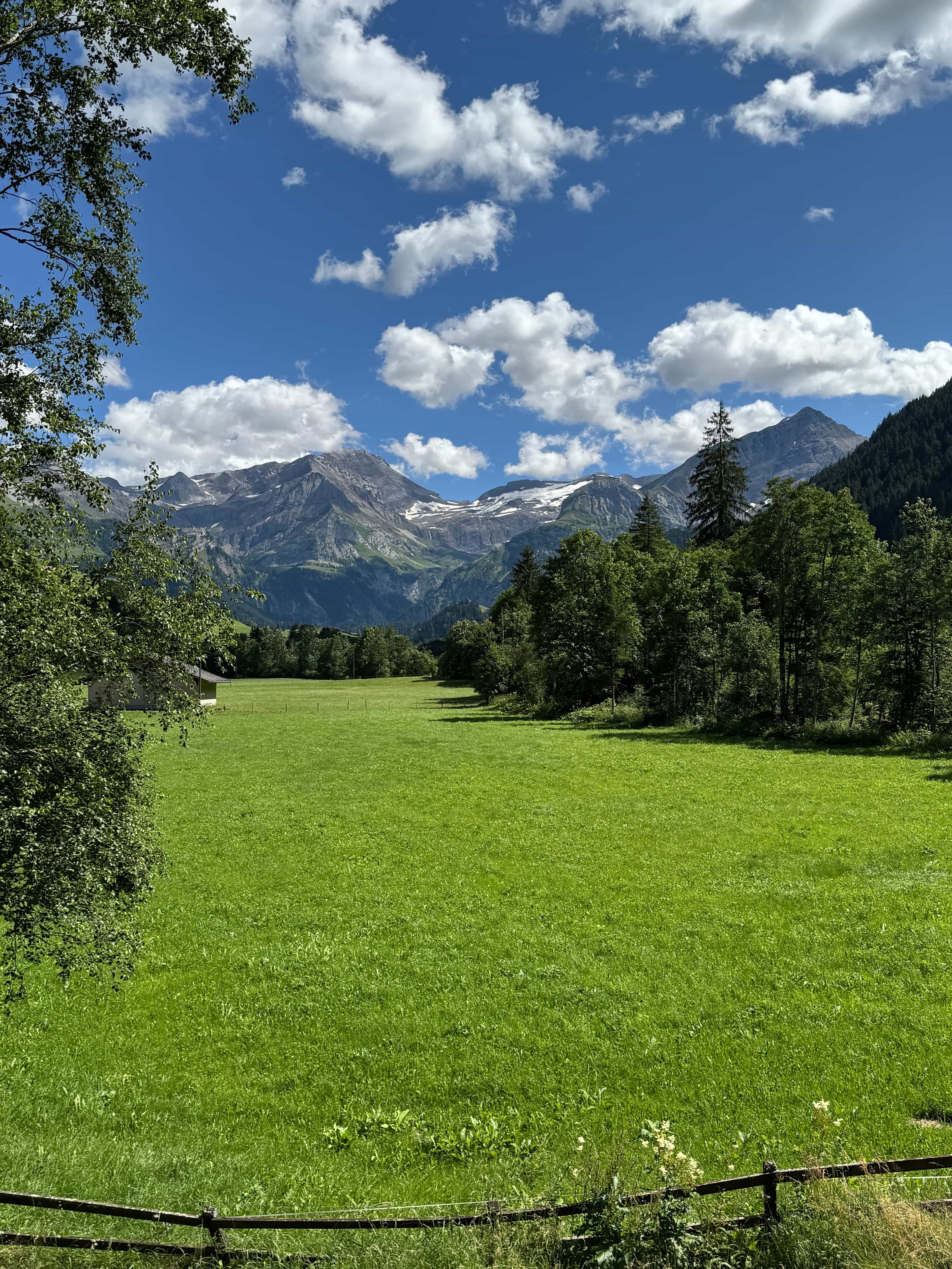 Idyllisches 5½-Zimmer Neubau-Chalet mit Bergsicht - 3