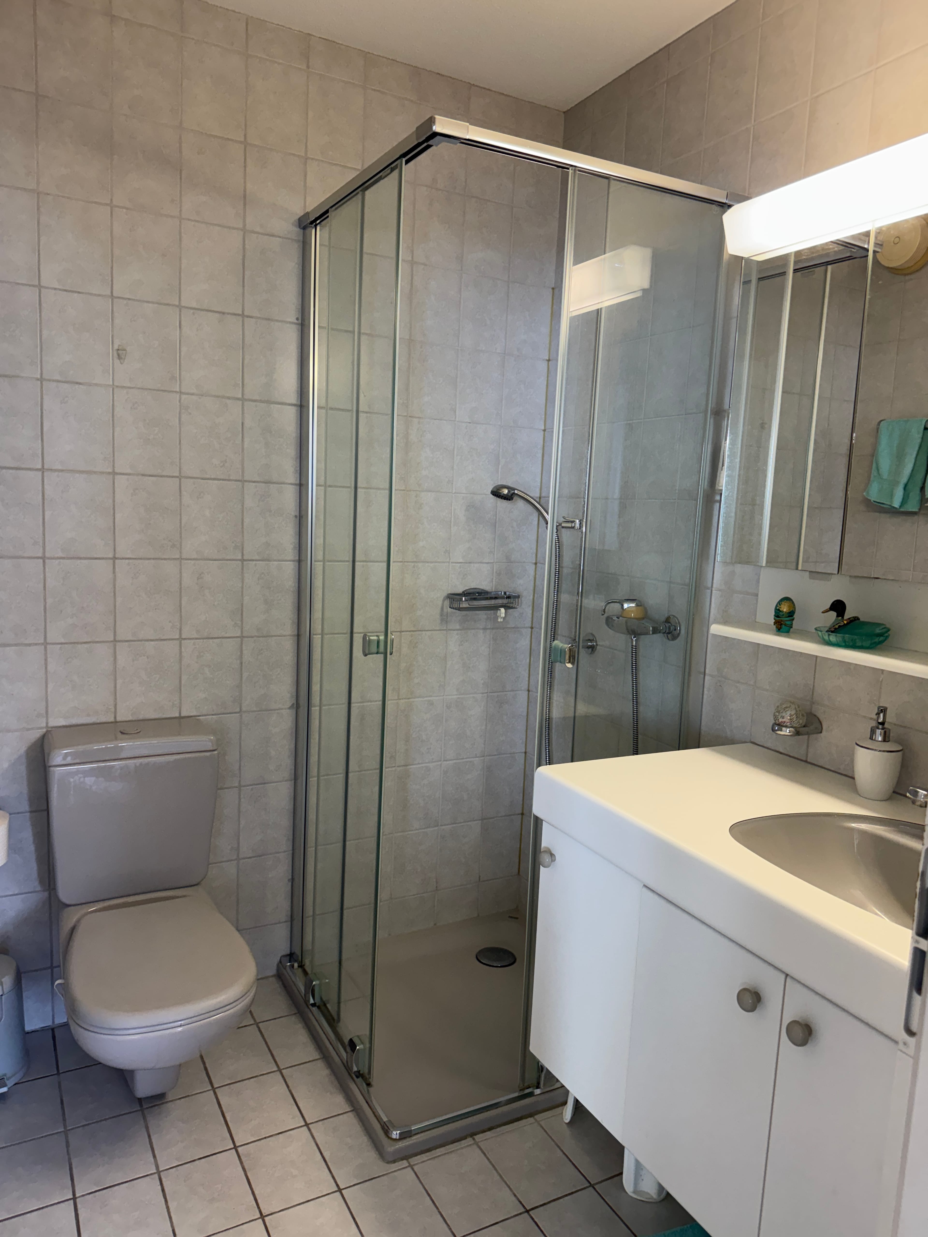 2.5-Zimmer-Attikawohnung mit Panoramasicht in Brissago kaufen - 10