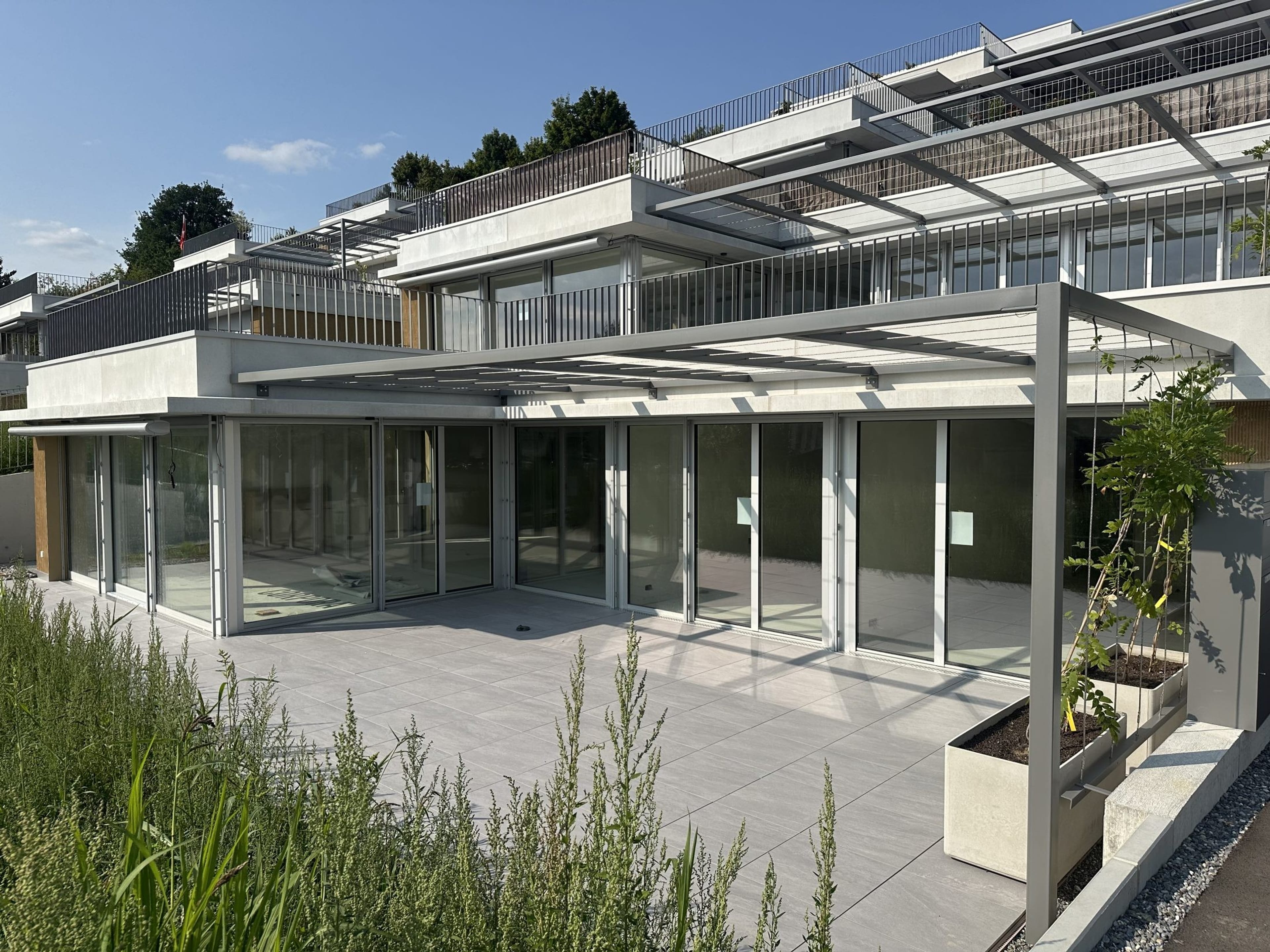 3.5-Zimmer-Terrassenhaus mit Weitsicht in Seengen kaufen - Bild 1
