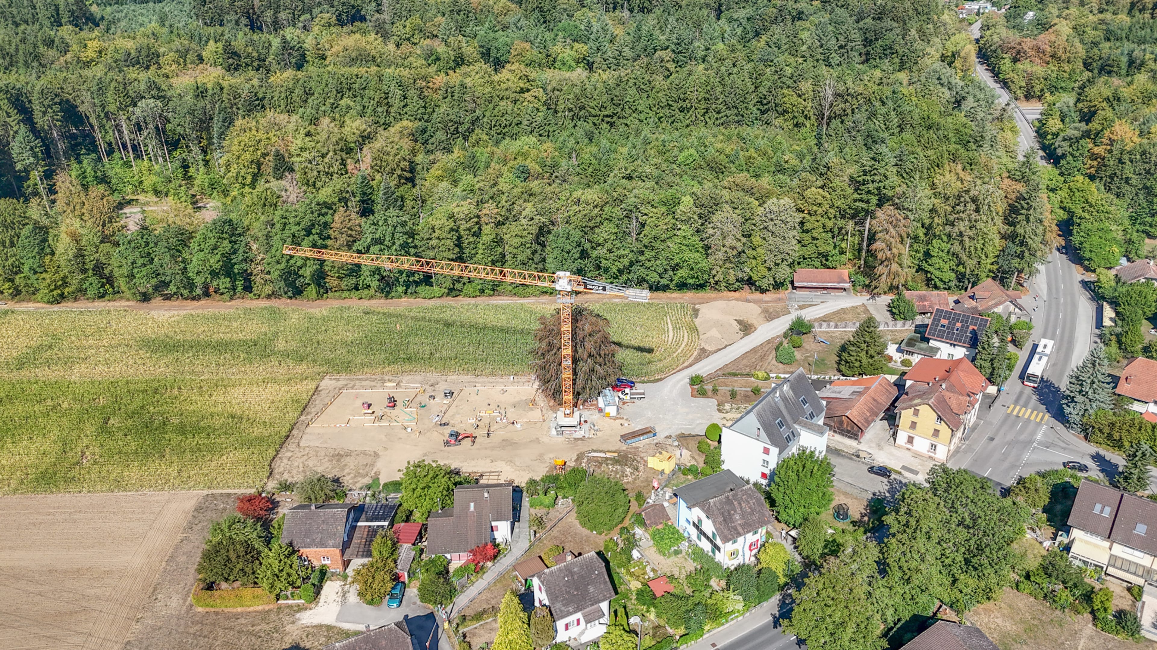 Wohnen mit Freiraum – moderne Doppelhaushälfte im Atelierhaus-Stil - 7