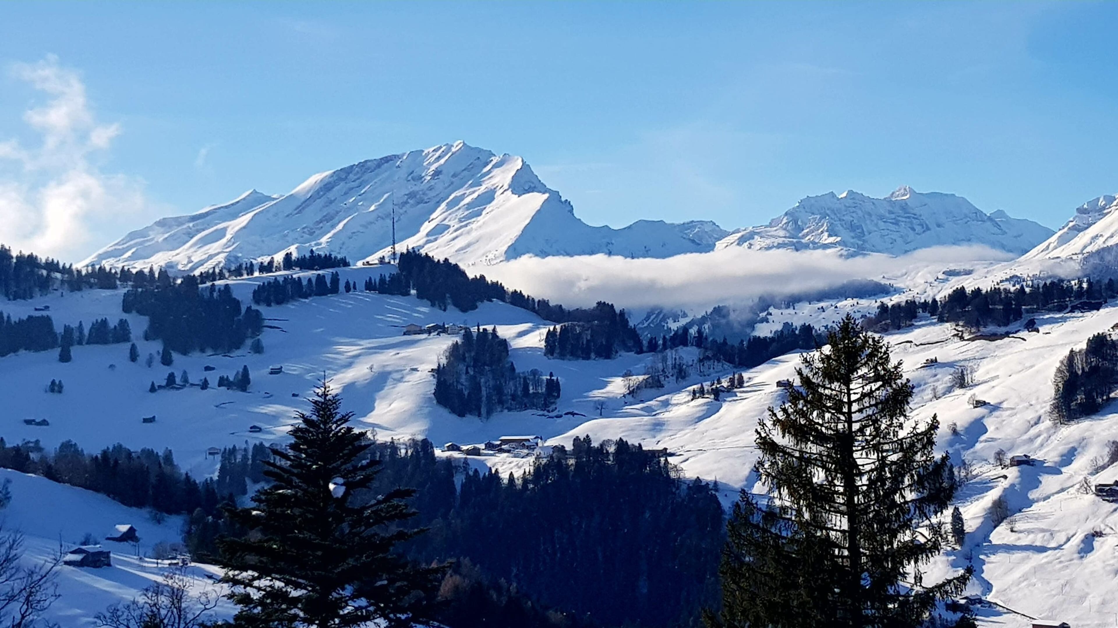 4.5-Zimmer-Chalet mit Panoramabalkon in Grüsch kaufen - 7
