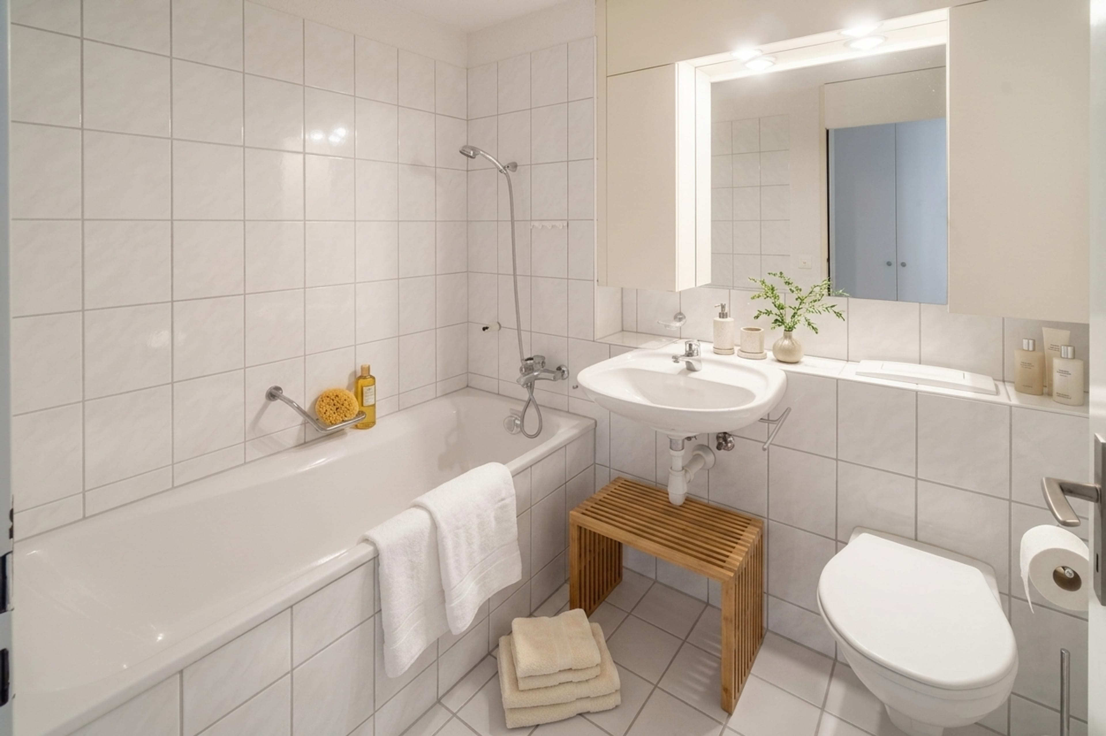 3.5 Zimmer Wohnung mit 71 m² mit Balkon und Lift in Reichenburg - 5