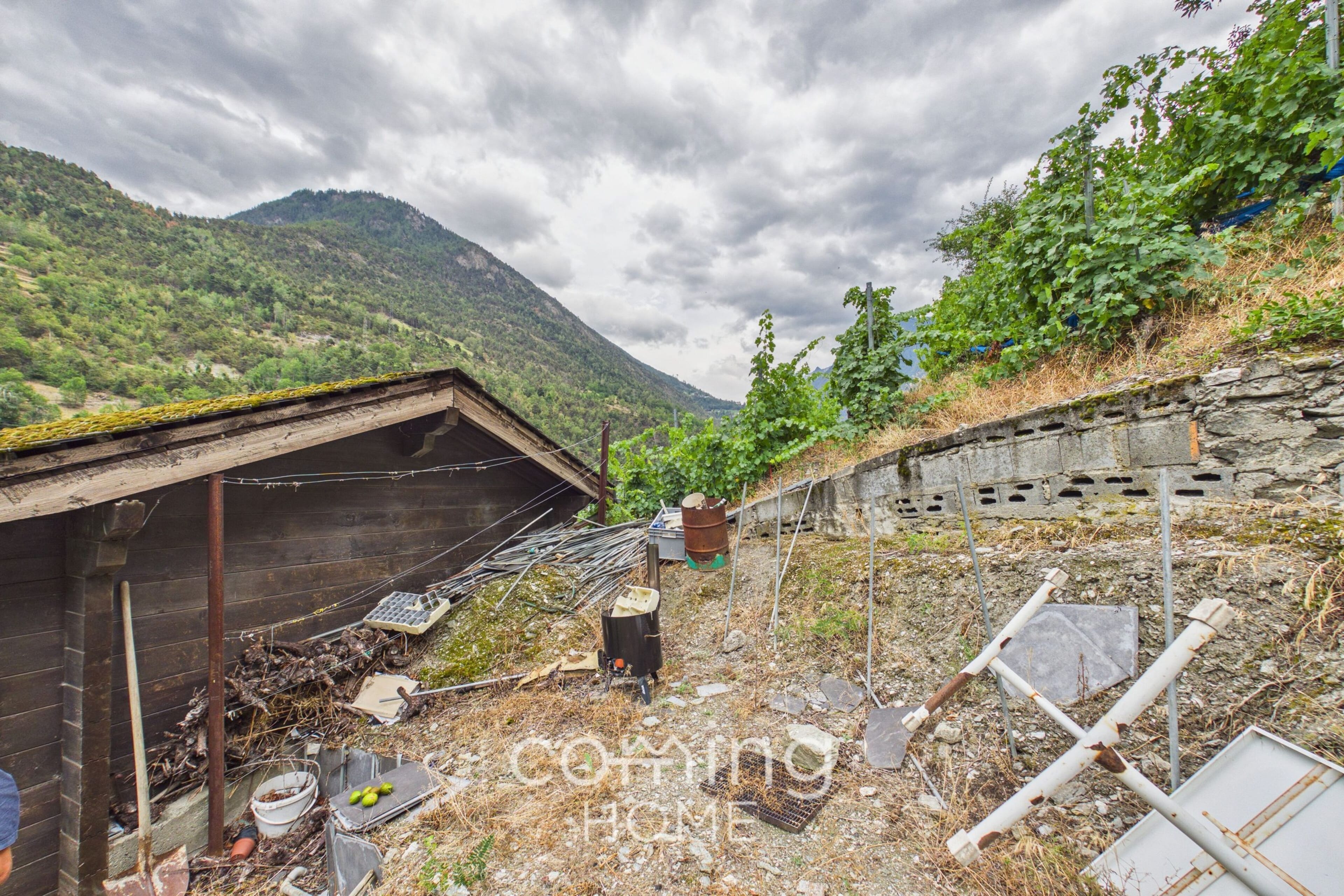 Rebparzelle mit Rebhaus in Stalden - Weinbau im Vispertal - 11