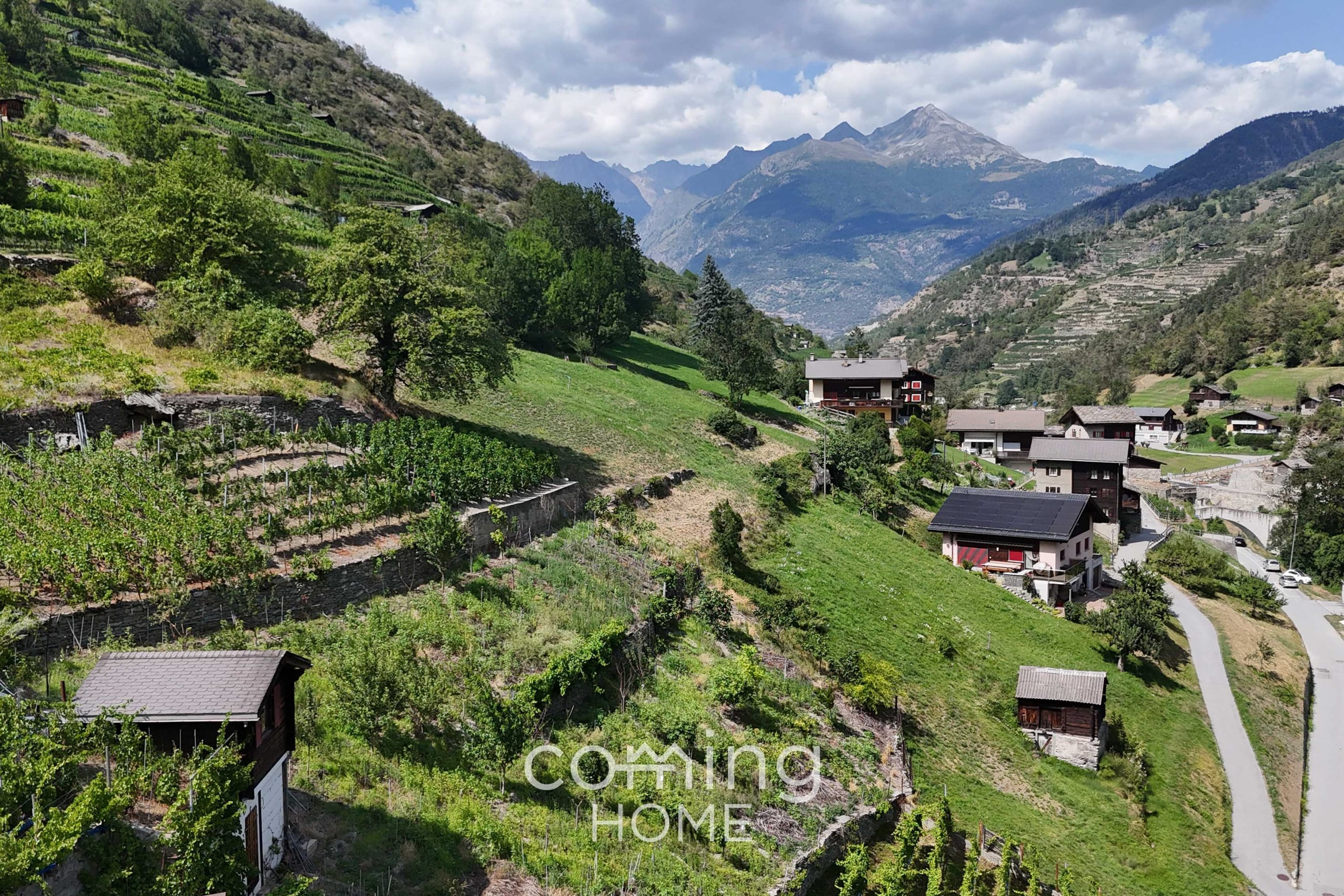 Rebparzelle mit Rebhaus in Stalden - Weinbau im Vispertal - 7