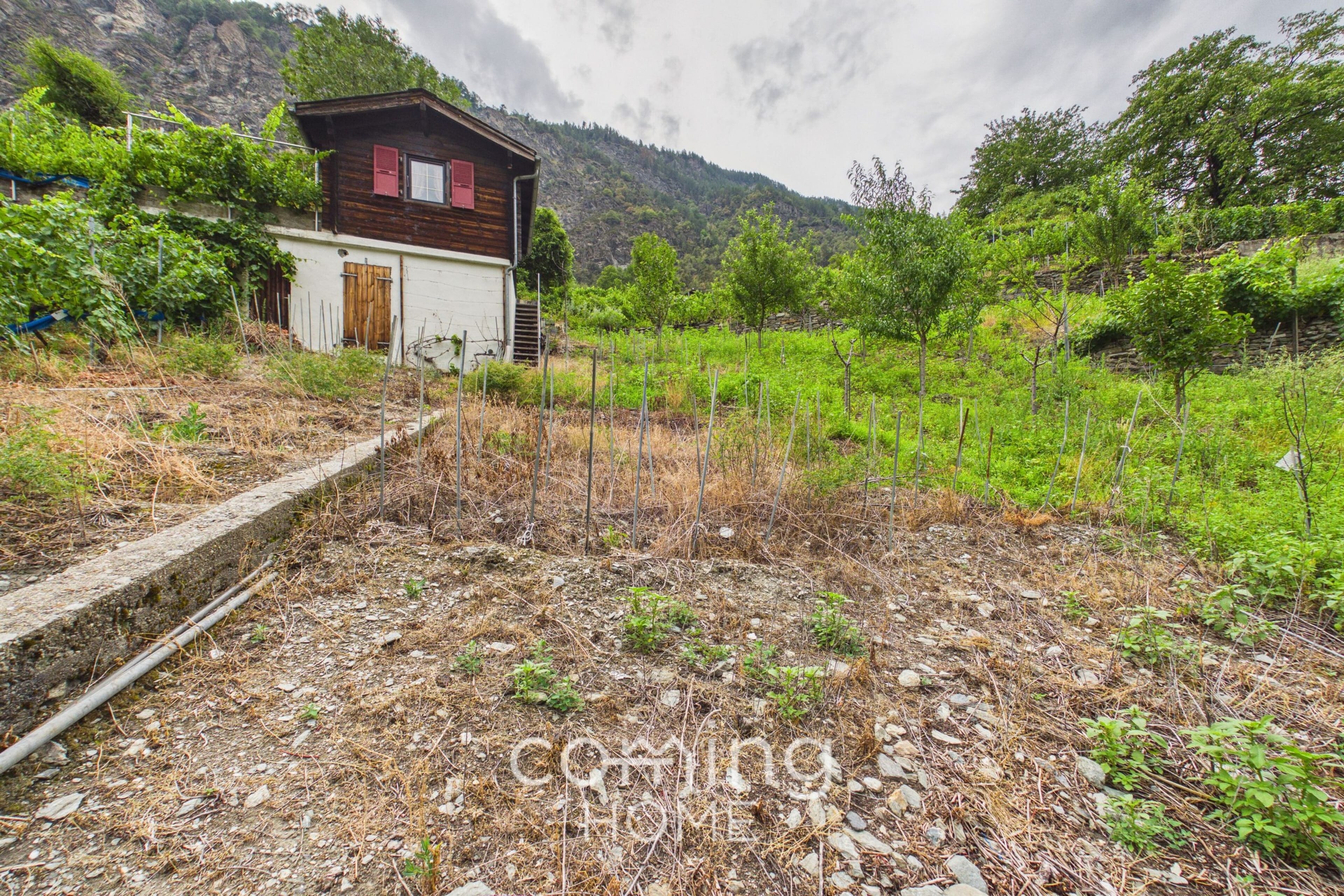 Rebparzelle mit Rebhaus in Stalden - Weinbau im Vispertal - 12