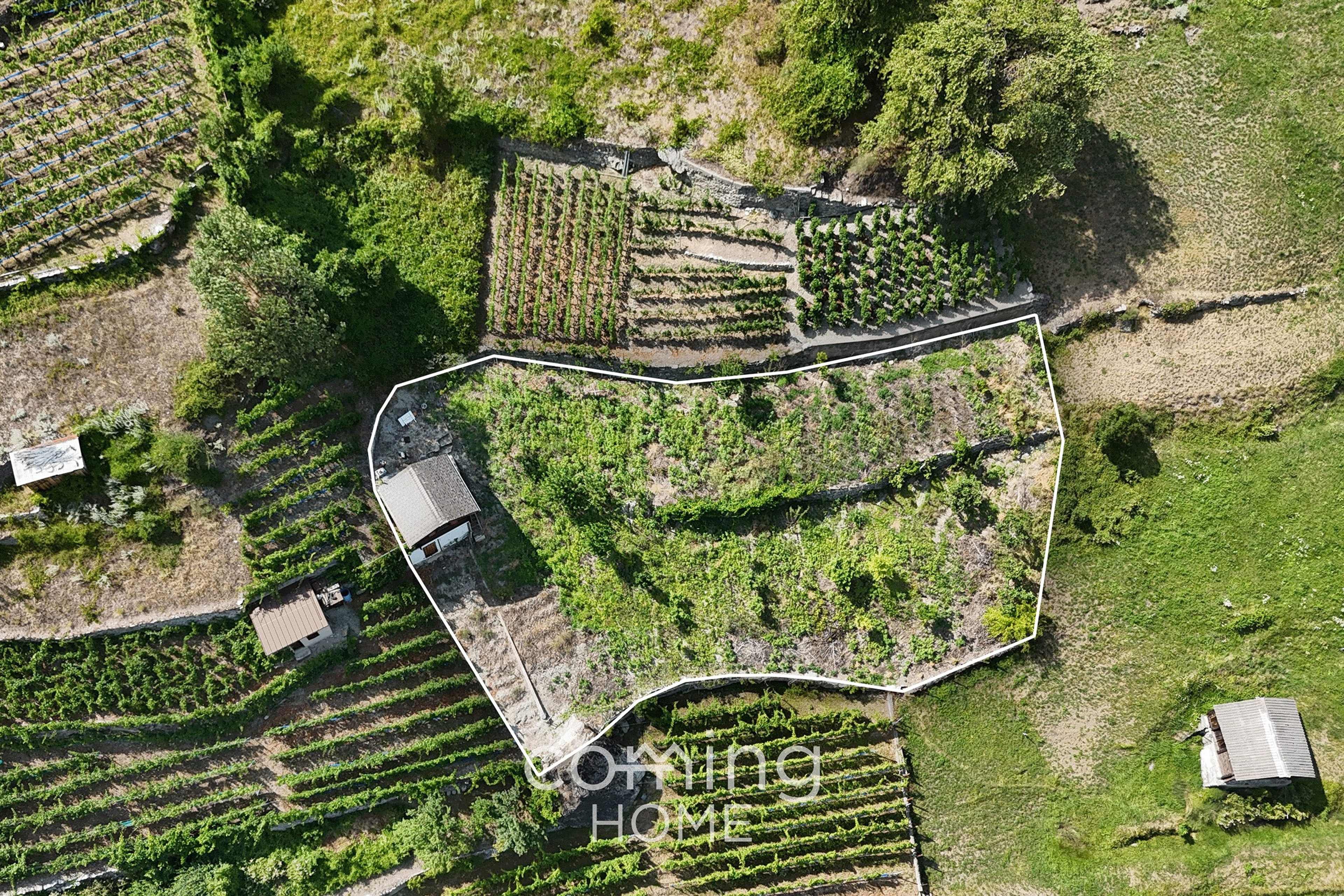 Rebparzelle mit Rebhaus in Stalden - Weinbau im Vispertal