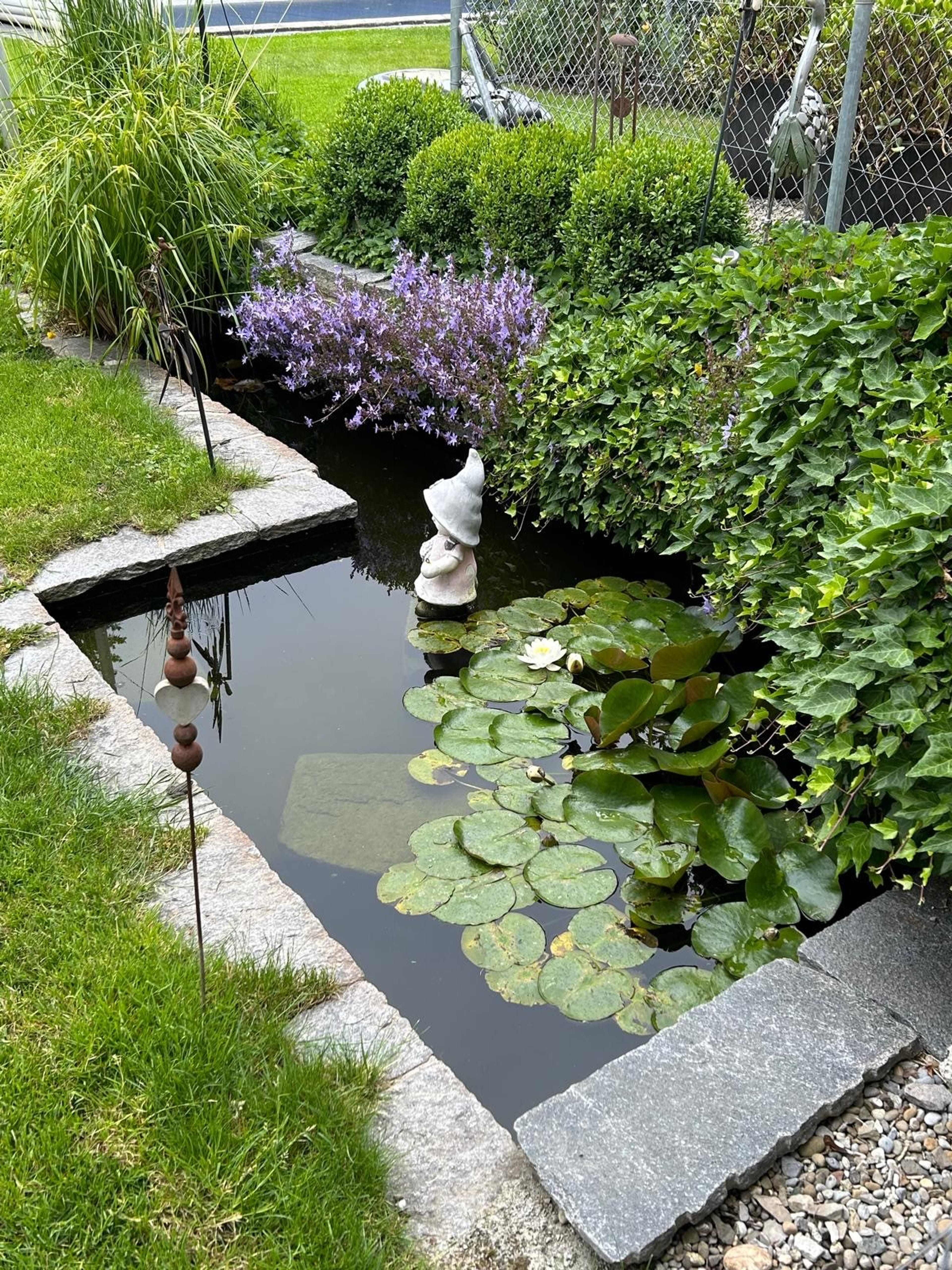 5.5-Zimmer-Einfamilienhaus mit Garten & Pool in Aarau - 8