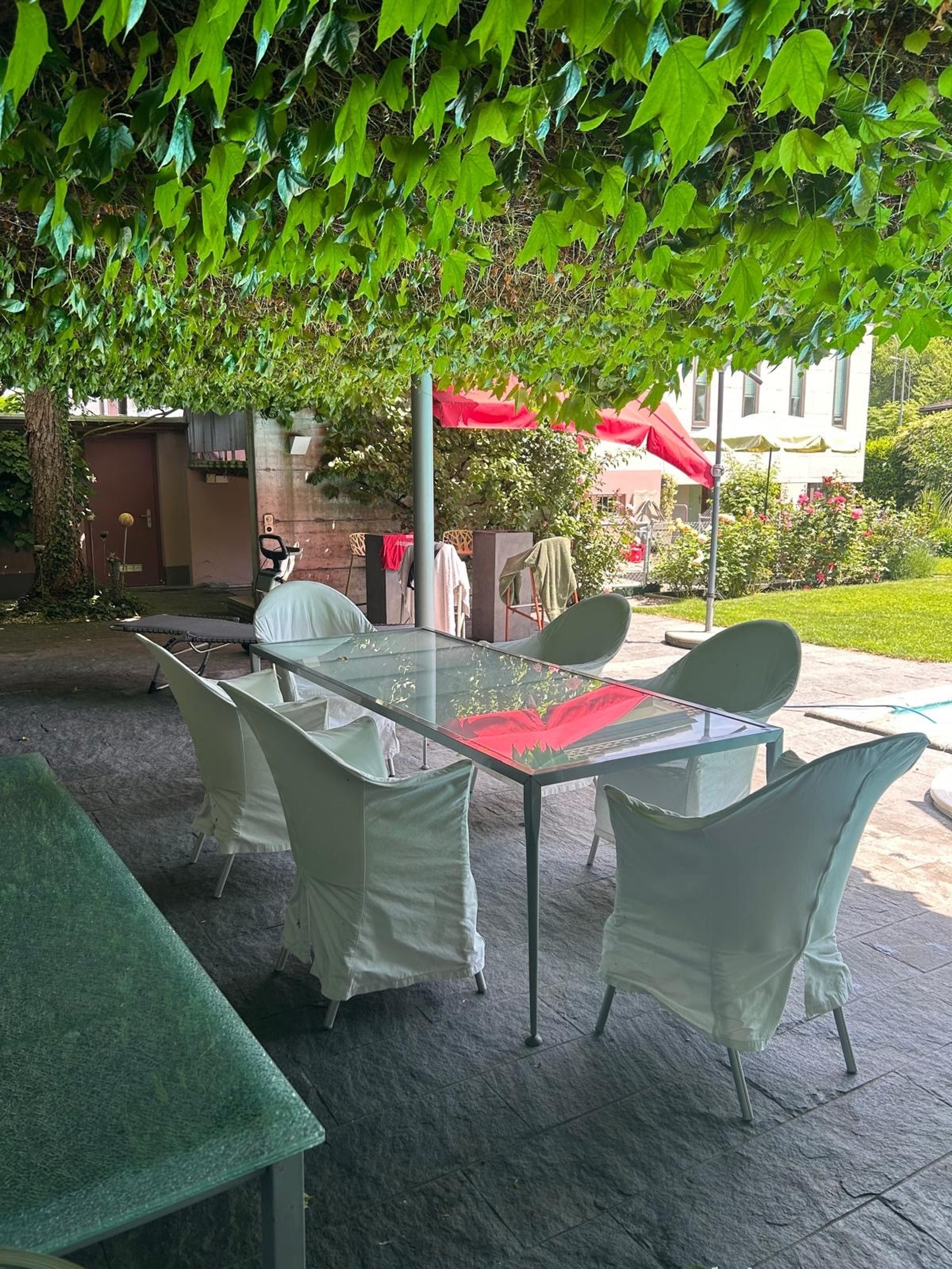 5.5-Zimmer-Einfamilienhaus mit Garten & Pool in Aarau - 6