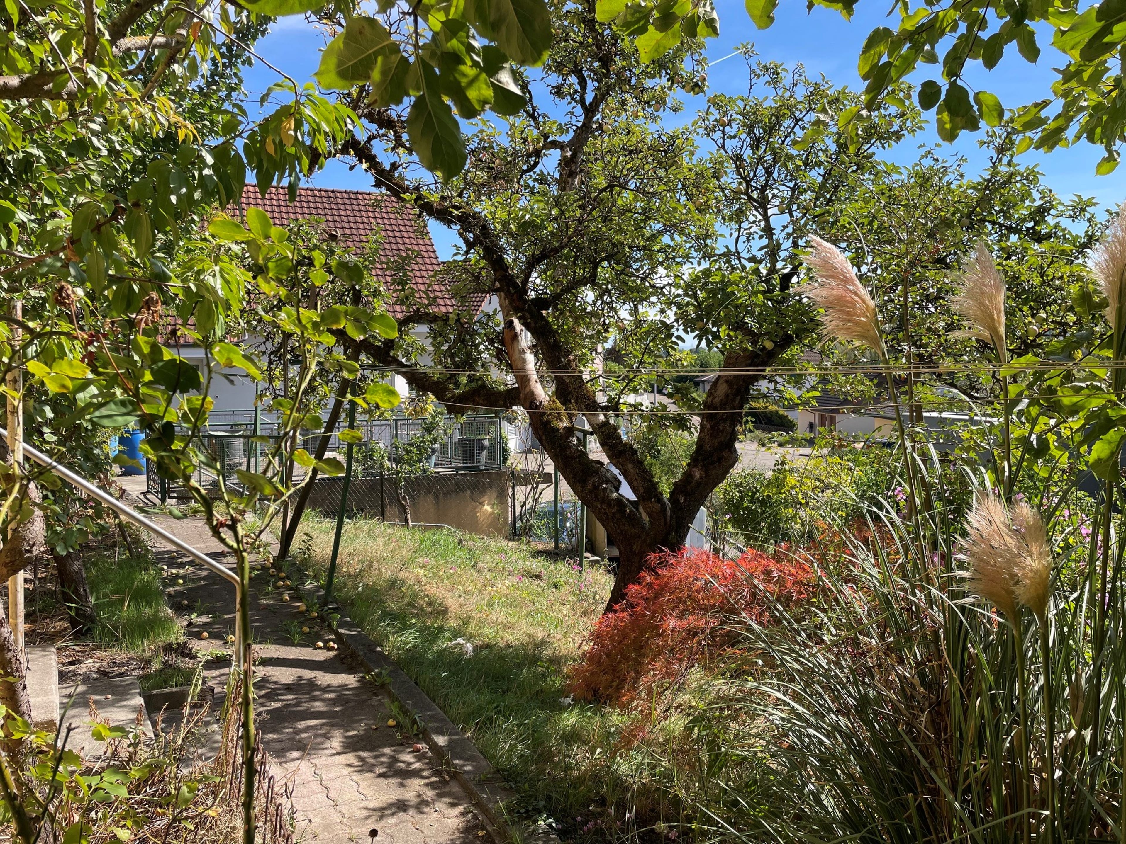 Zweifamilienhaus mit Reussblick in Mellingen  - 6