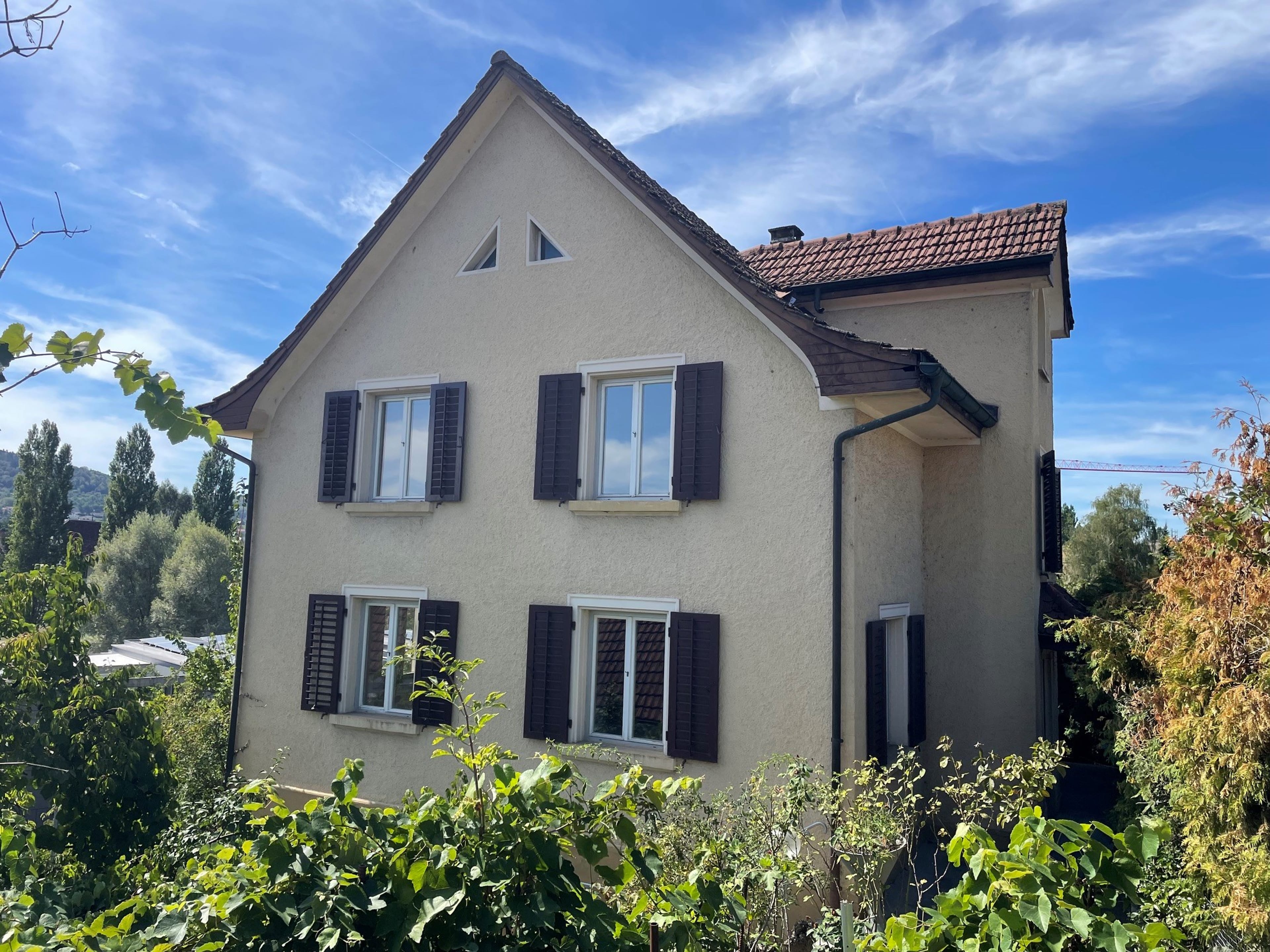 Zweifamilienhaus mit Reussblick in Mellingen  - 3
