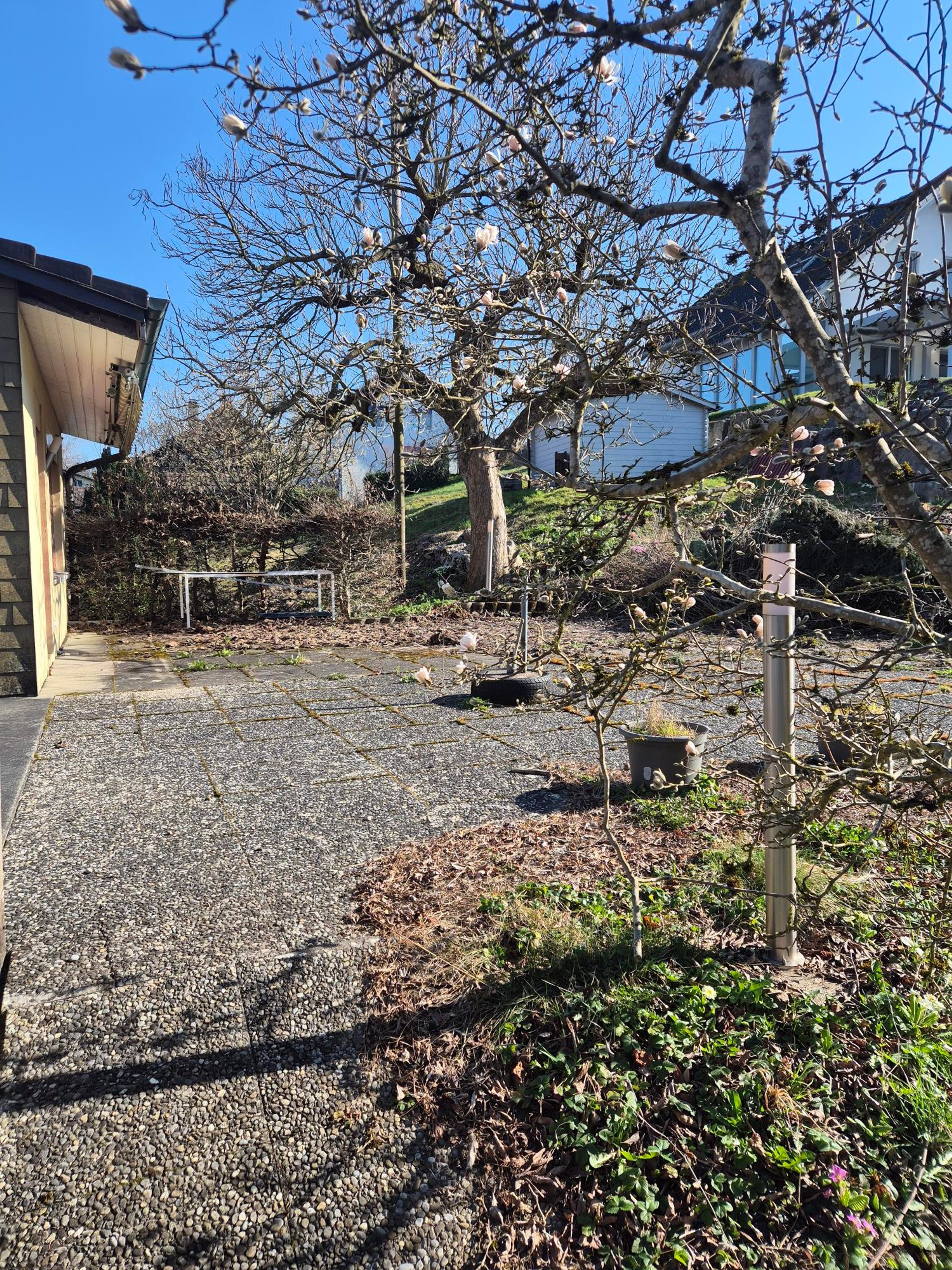 Mehrfamilienhaus mit 5 Einheiten in Kestenholz und Baulandreserve - 14