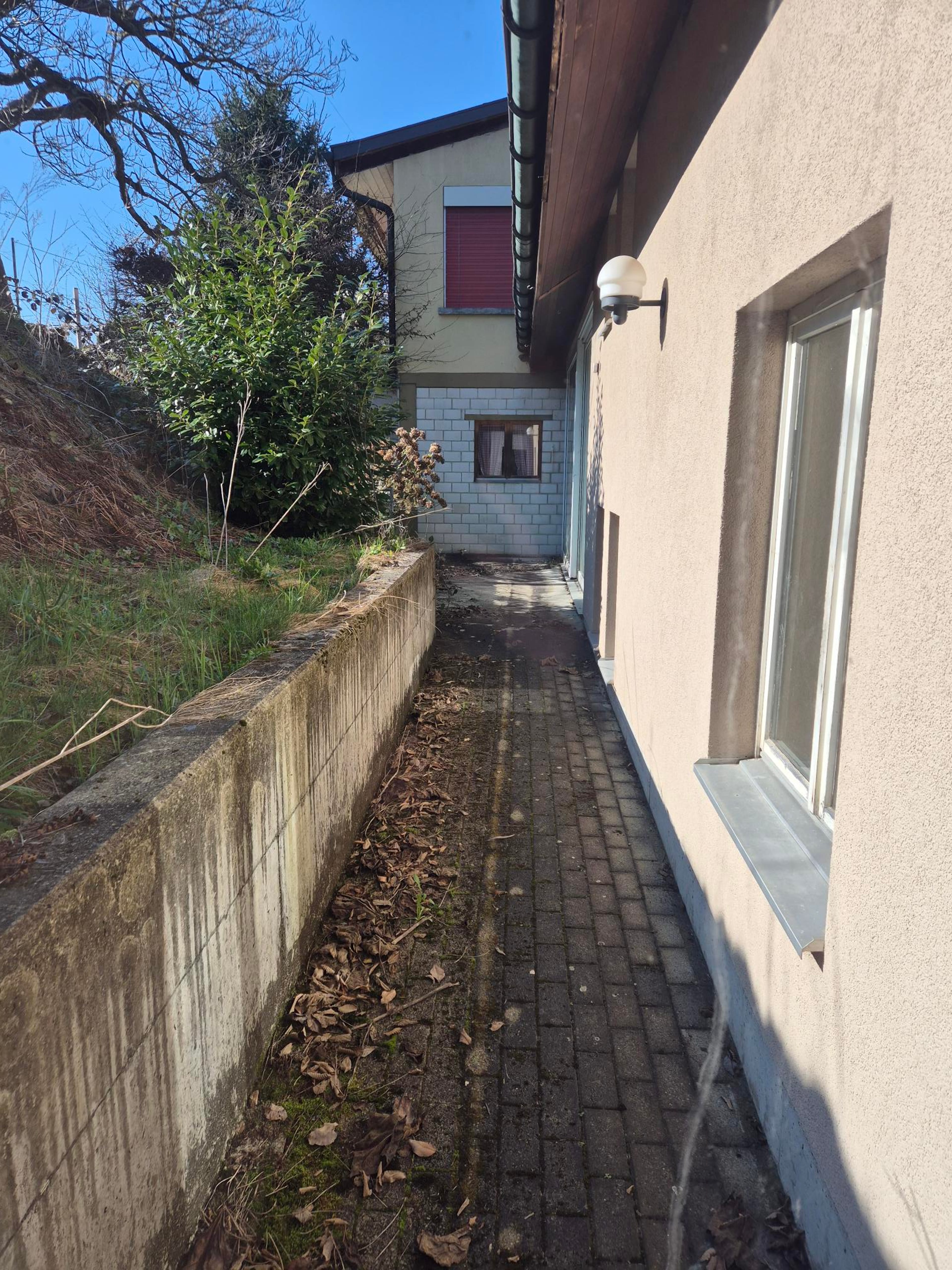 Mehrfamilienhaus mit 4 Einheiten in Kestenholz kaufen - 19