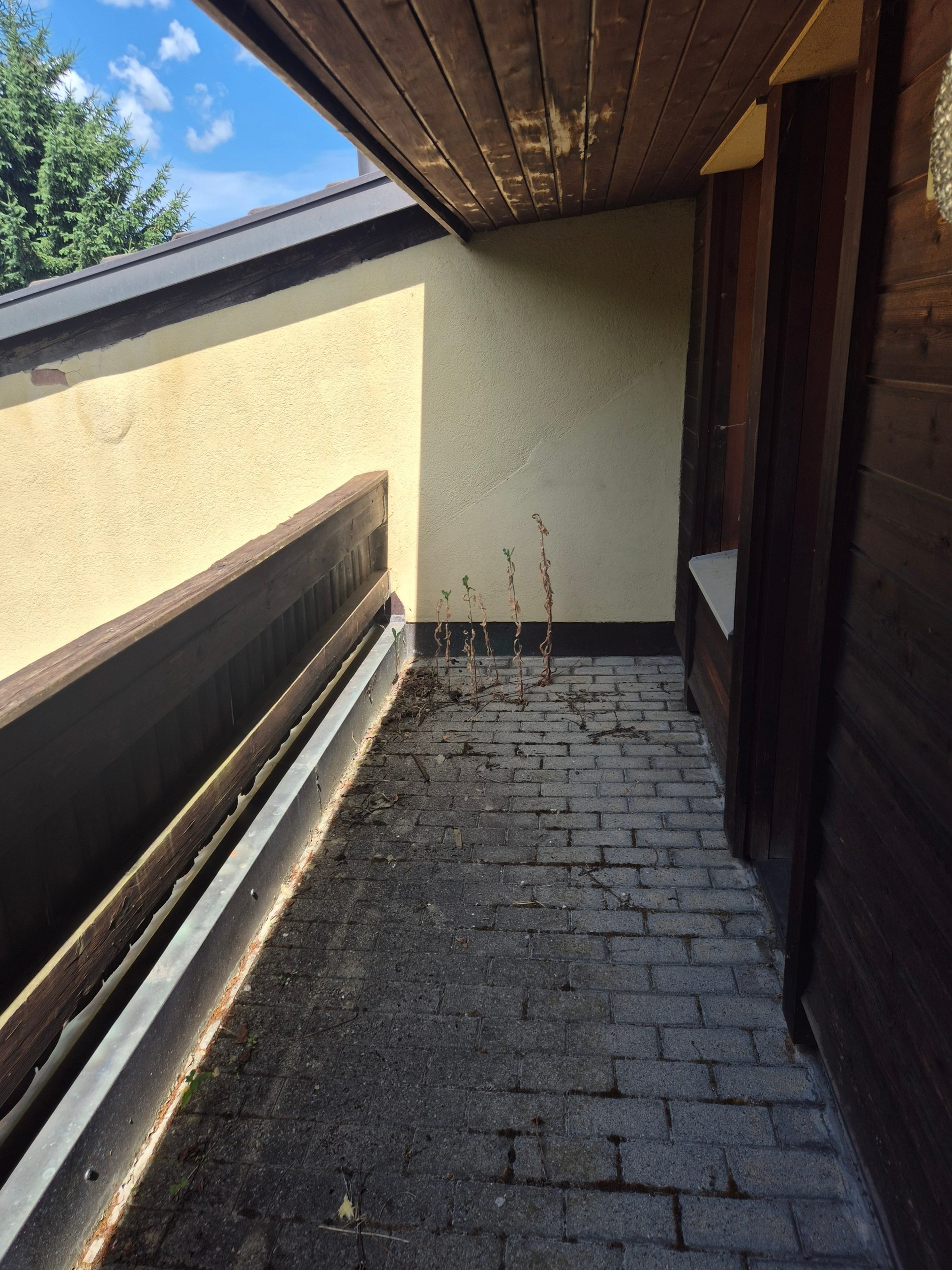 Mehrfamilienhaus mit 4 Einheiten in Kestenholz kaufen - 16