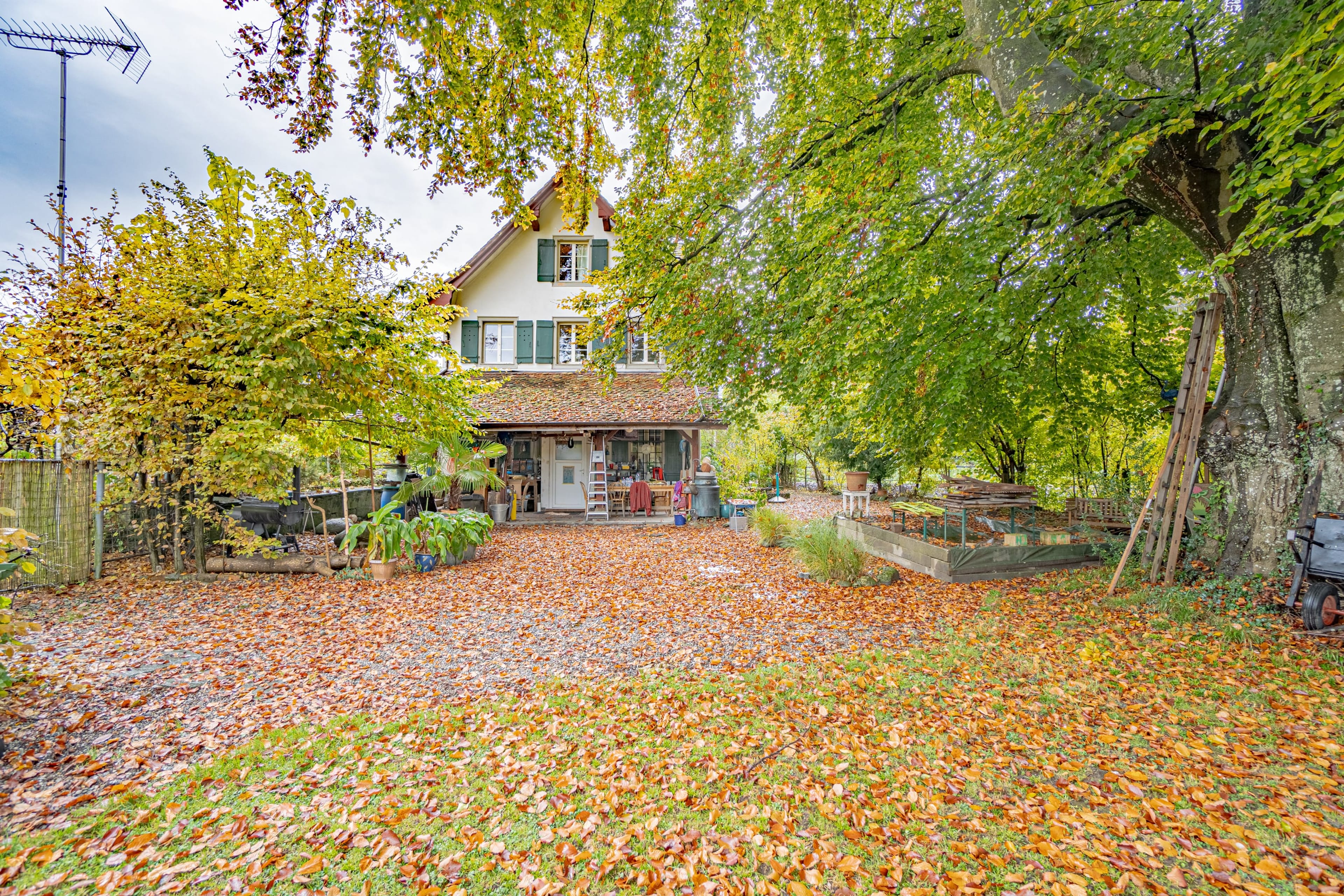 Historisches MFH mit 3 Einheiten und privatem Seepark mit EFH in Richterswil - 53
