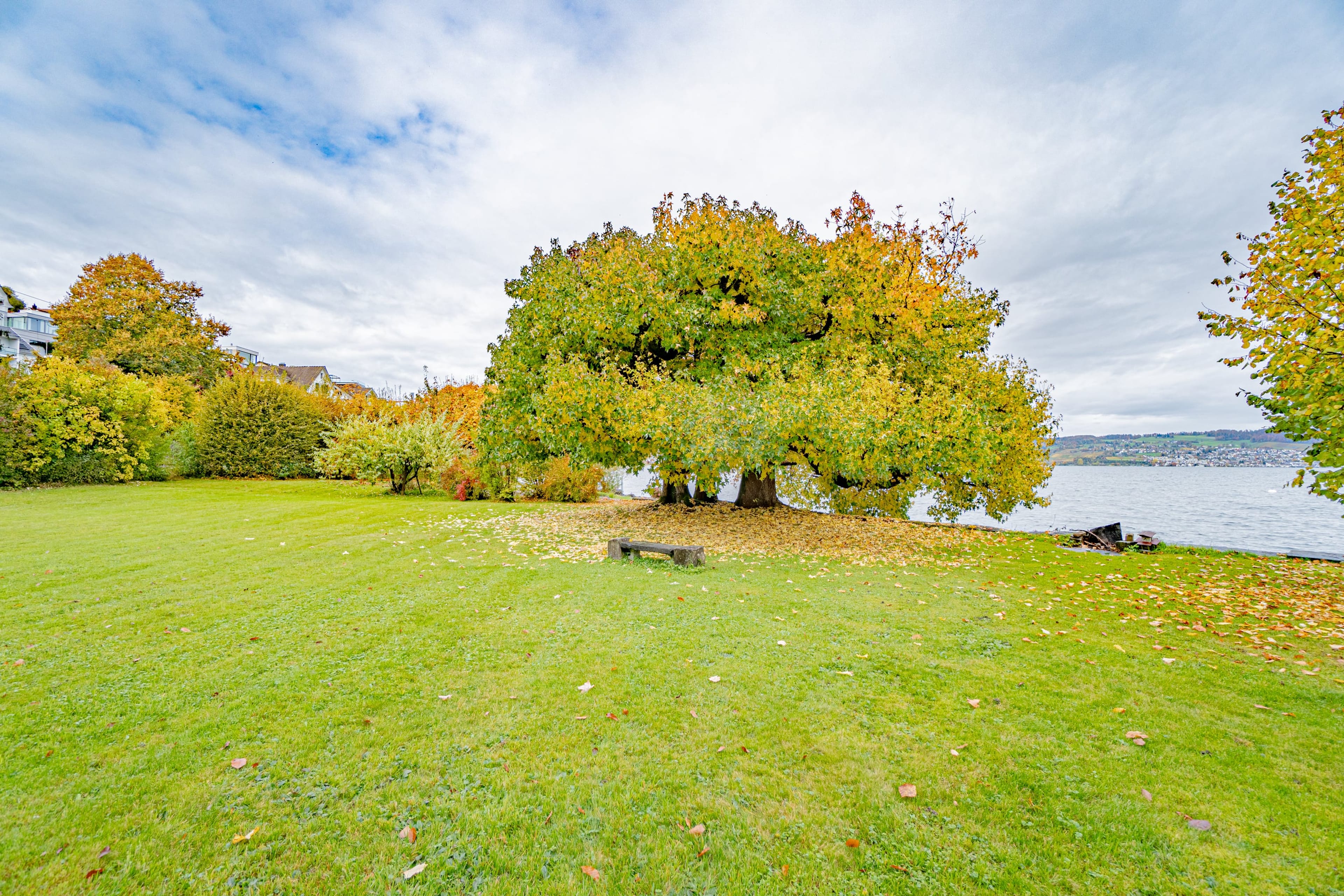 Historisches MFH mit 3 Einheiten und privatem Seepark mit EFH in Richterswil - 51