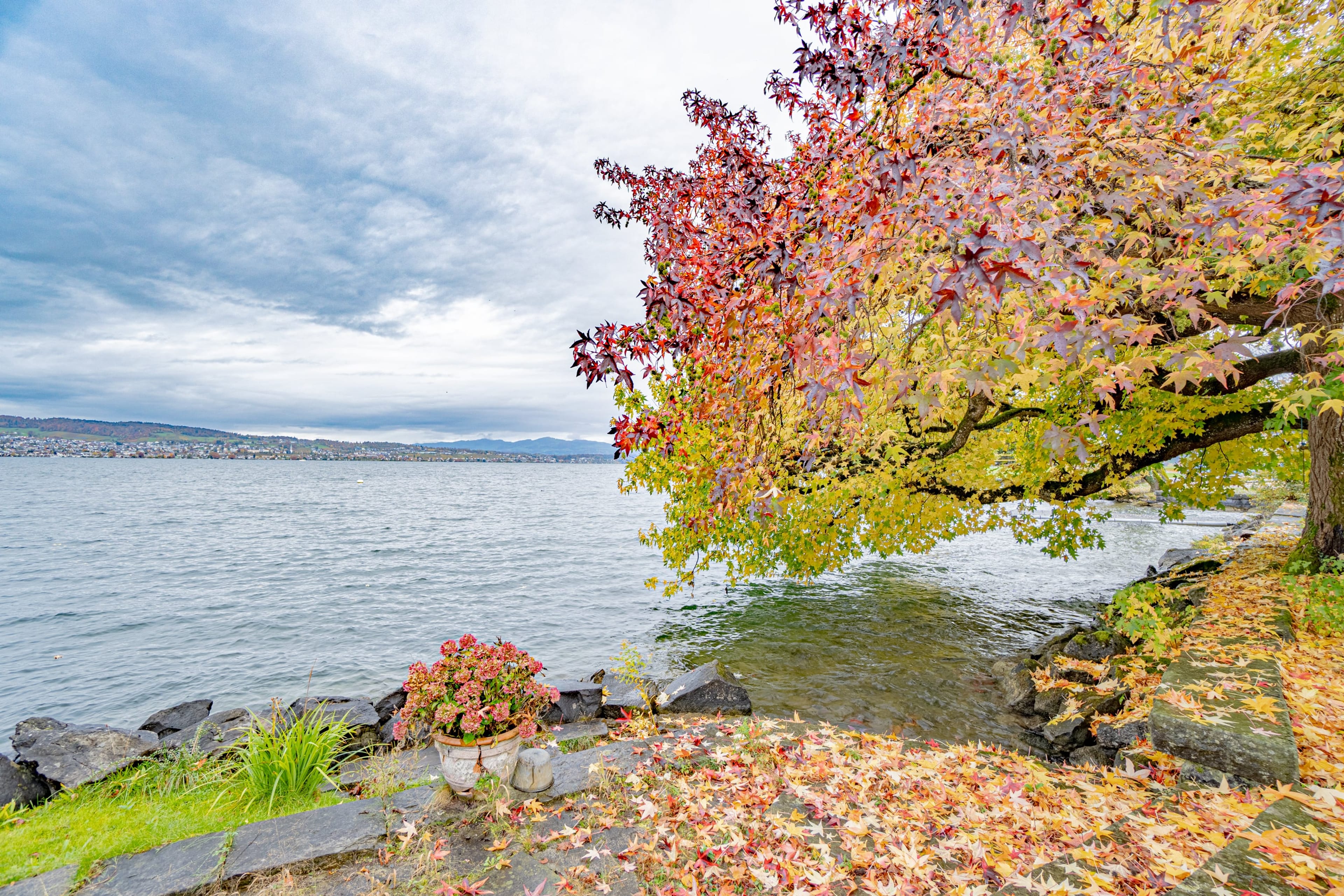 Historisches MFH mit 3 Einheiten und privatem Seepark mit EFH in Richterswil - 48
