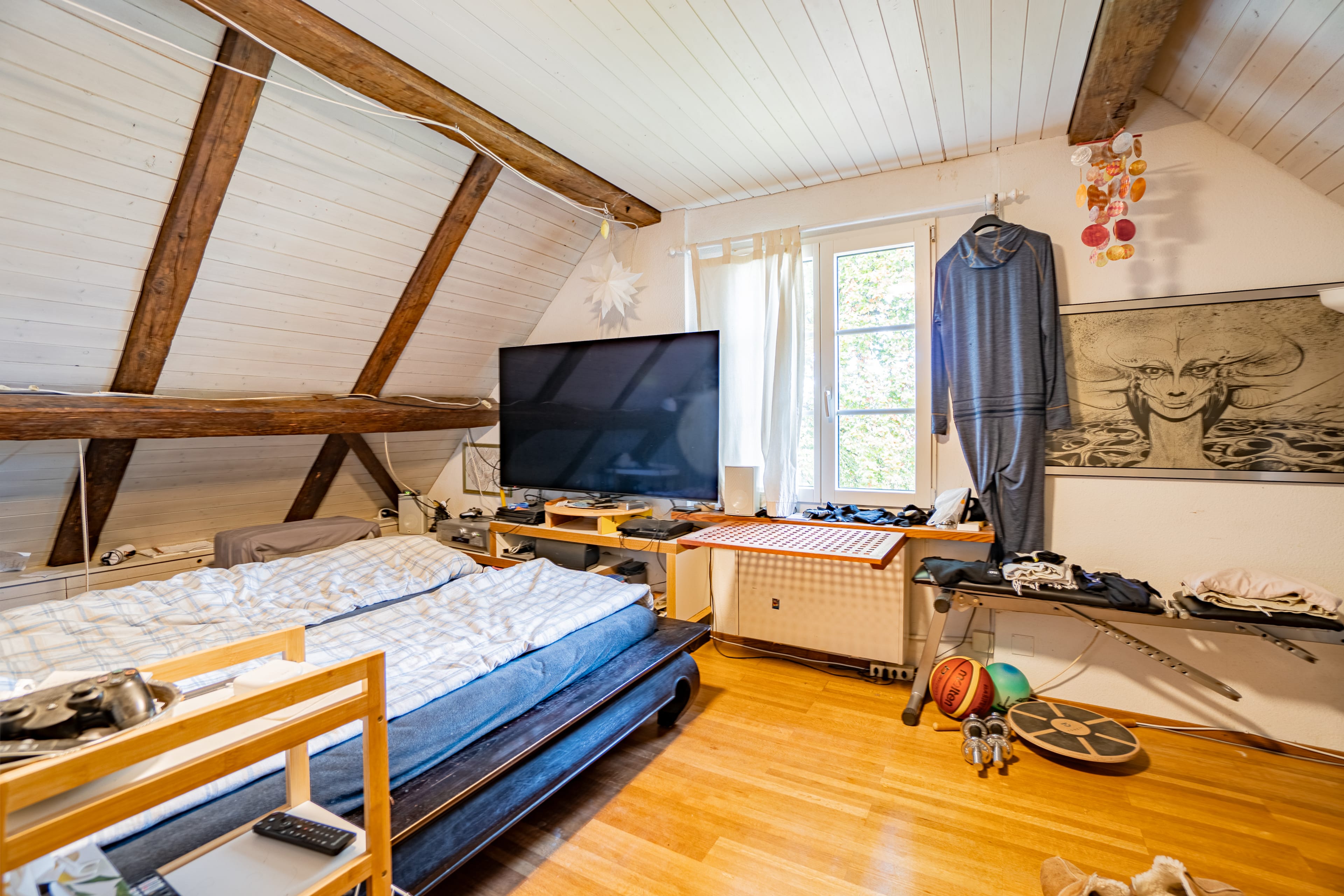 Historisches MFH mit 3 Einheiten und privatem Seepark mit EFH in Richterswil - 62