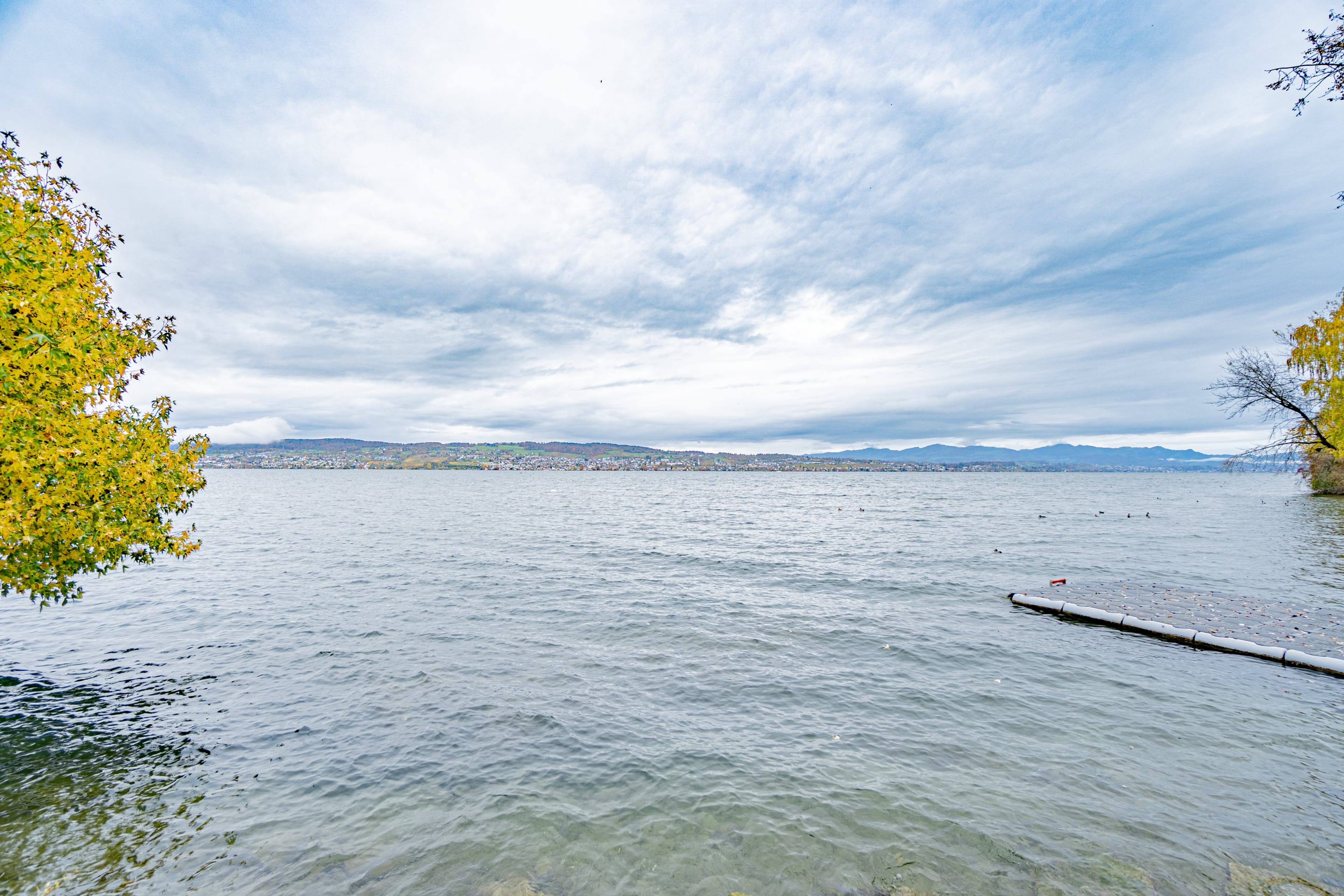 Historisches MFH mit 3 Einheiten und privatem Seepark mit EFH in Richterswil - 49