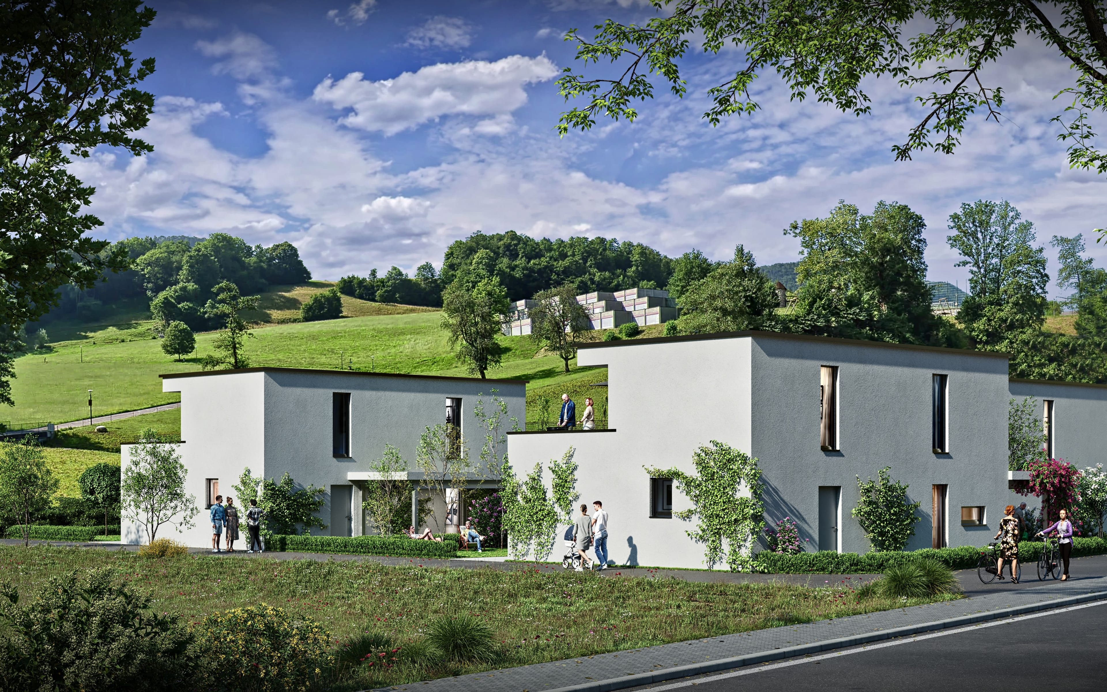 Exklusives Neubauprojekt in Zullwil – Wohnen nach Ihren Vorstellungen (B) - 3