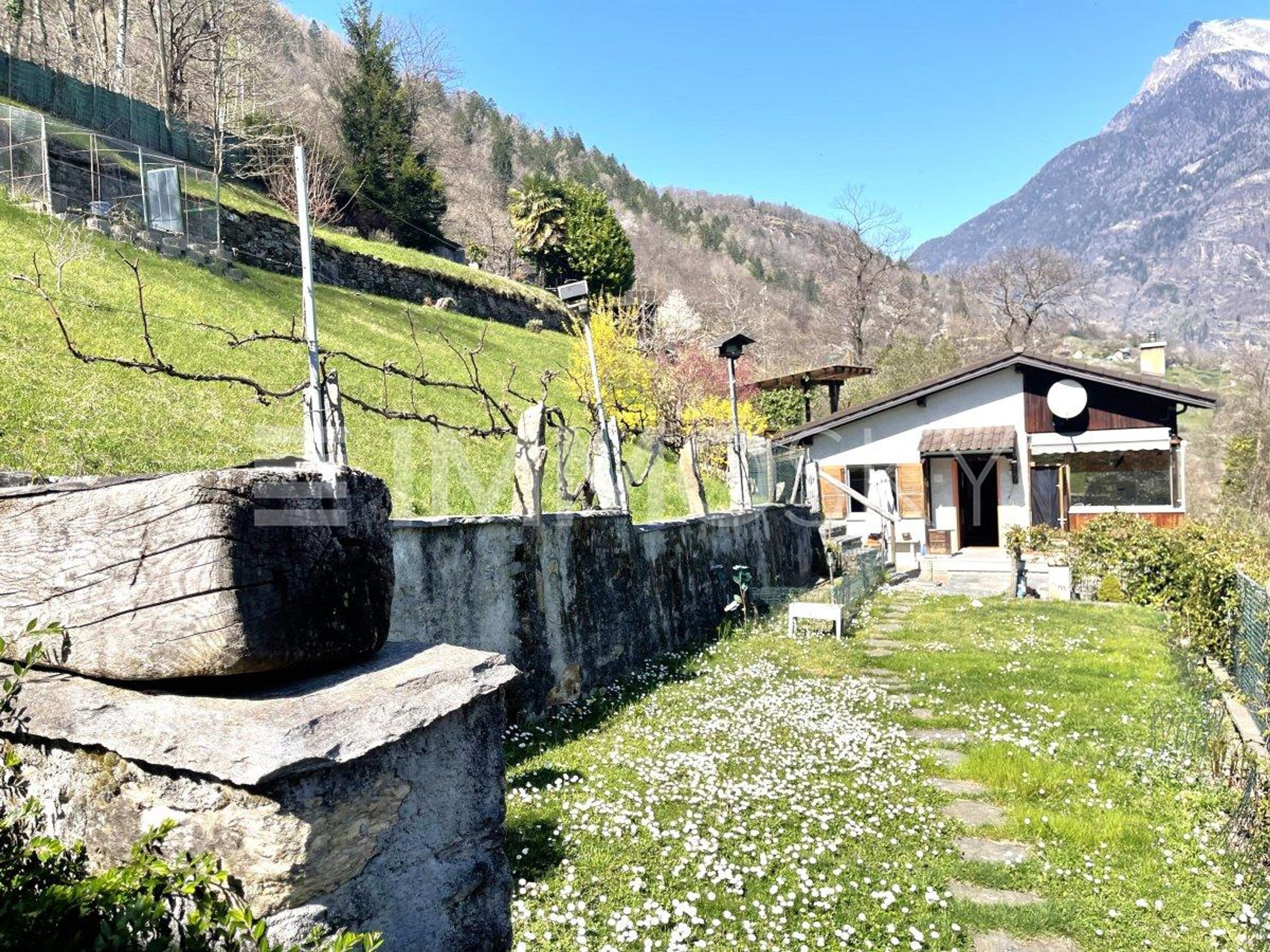 L'affare dalle molteplici sfaccettature - Bild 1