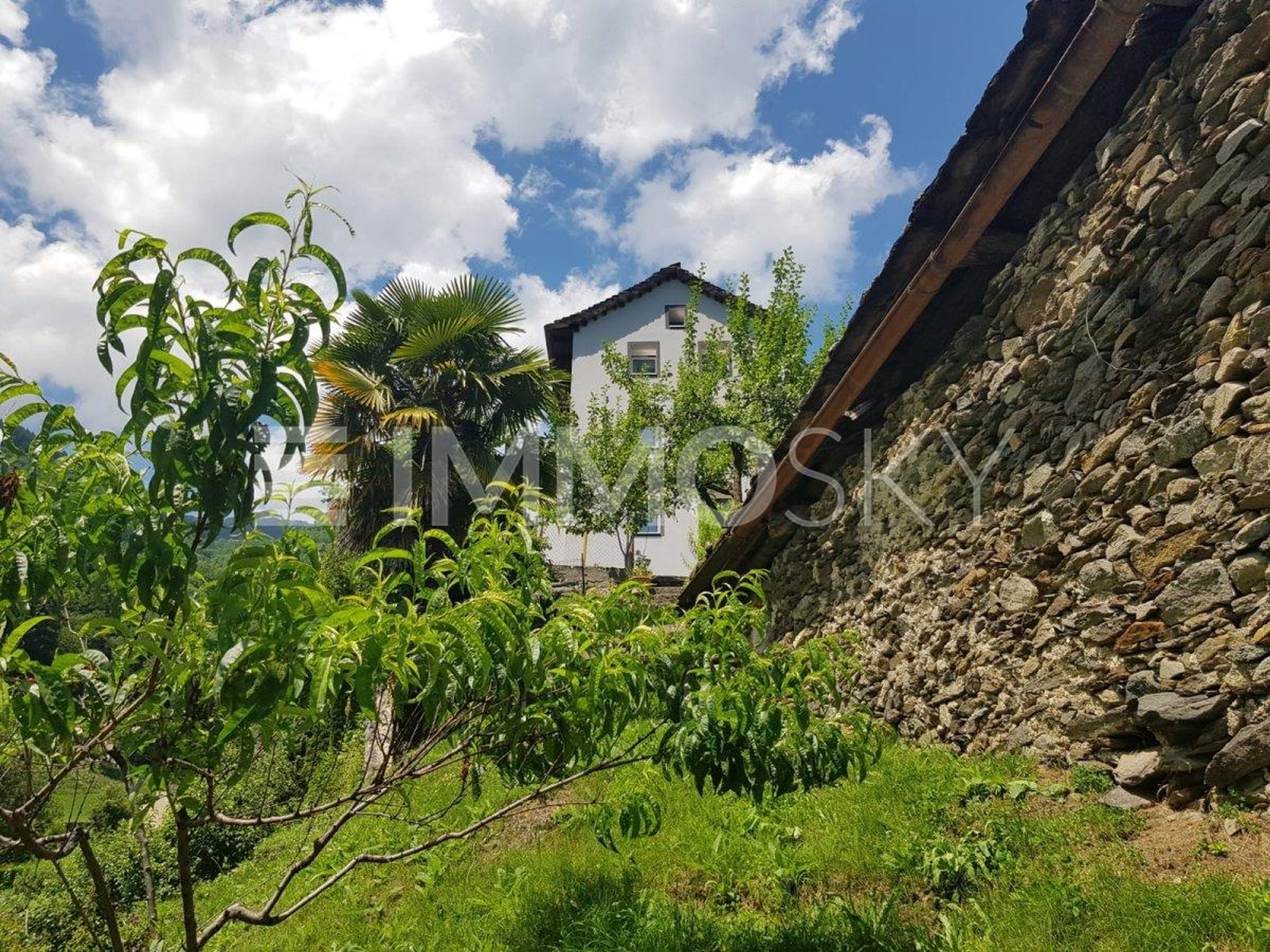 Vivendo a diretto contatto con la natura - Bild 5