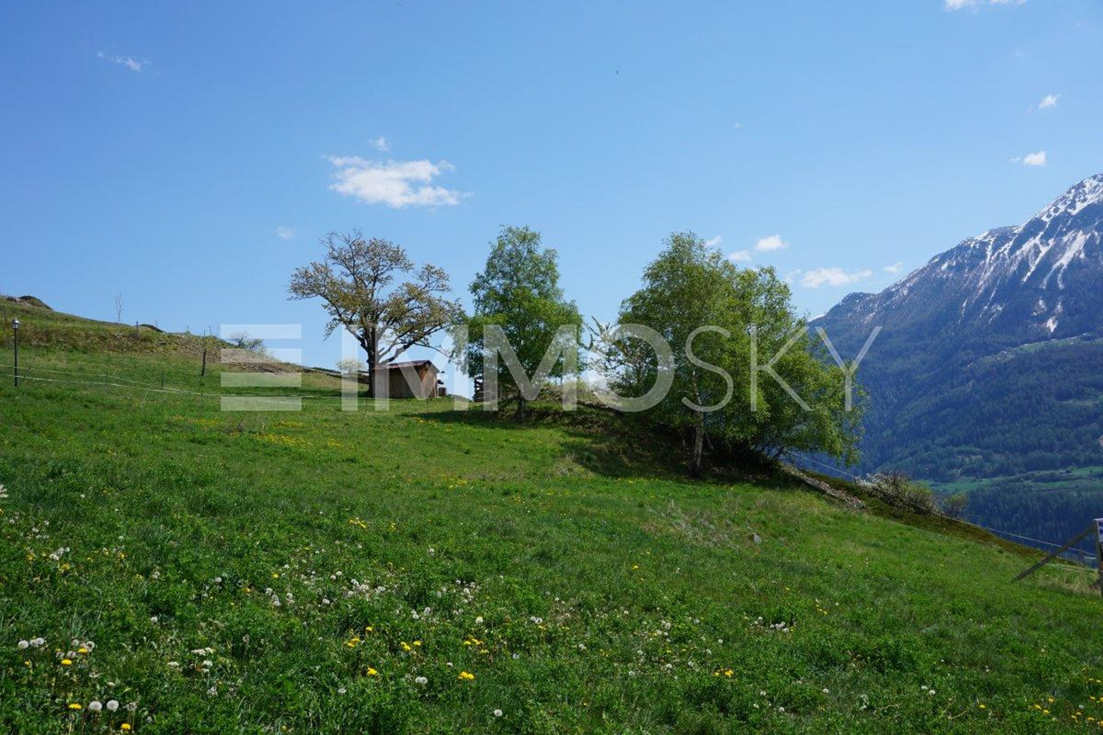 4.5Zi mit Terrasse und Aussicht  (Nr. 11a) - Bild 4