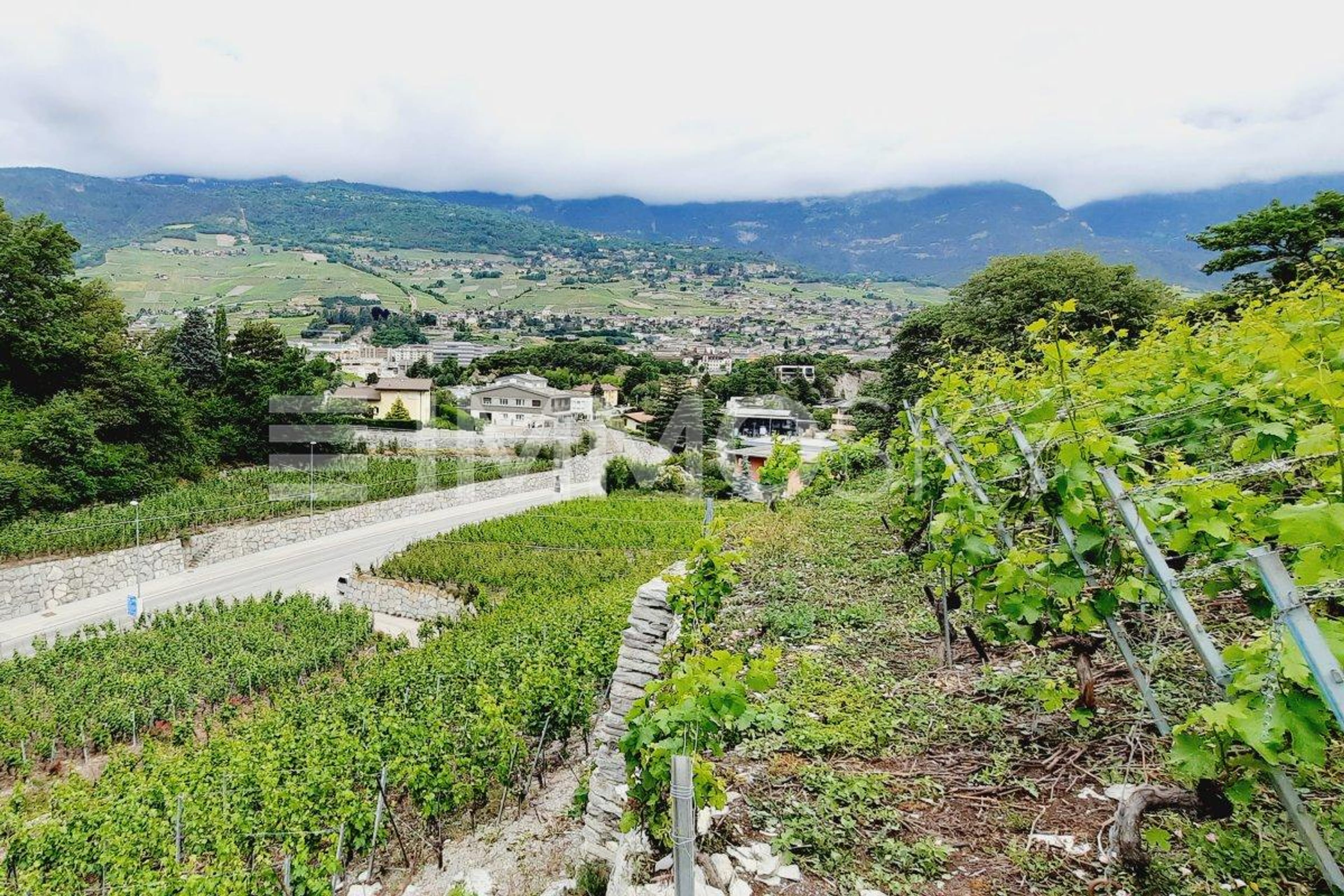 Exclusivité ImmoSky : Terrain à constuire avec vue unique - Bild 2