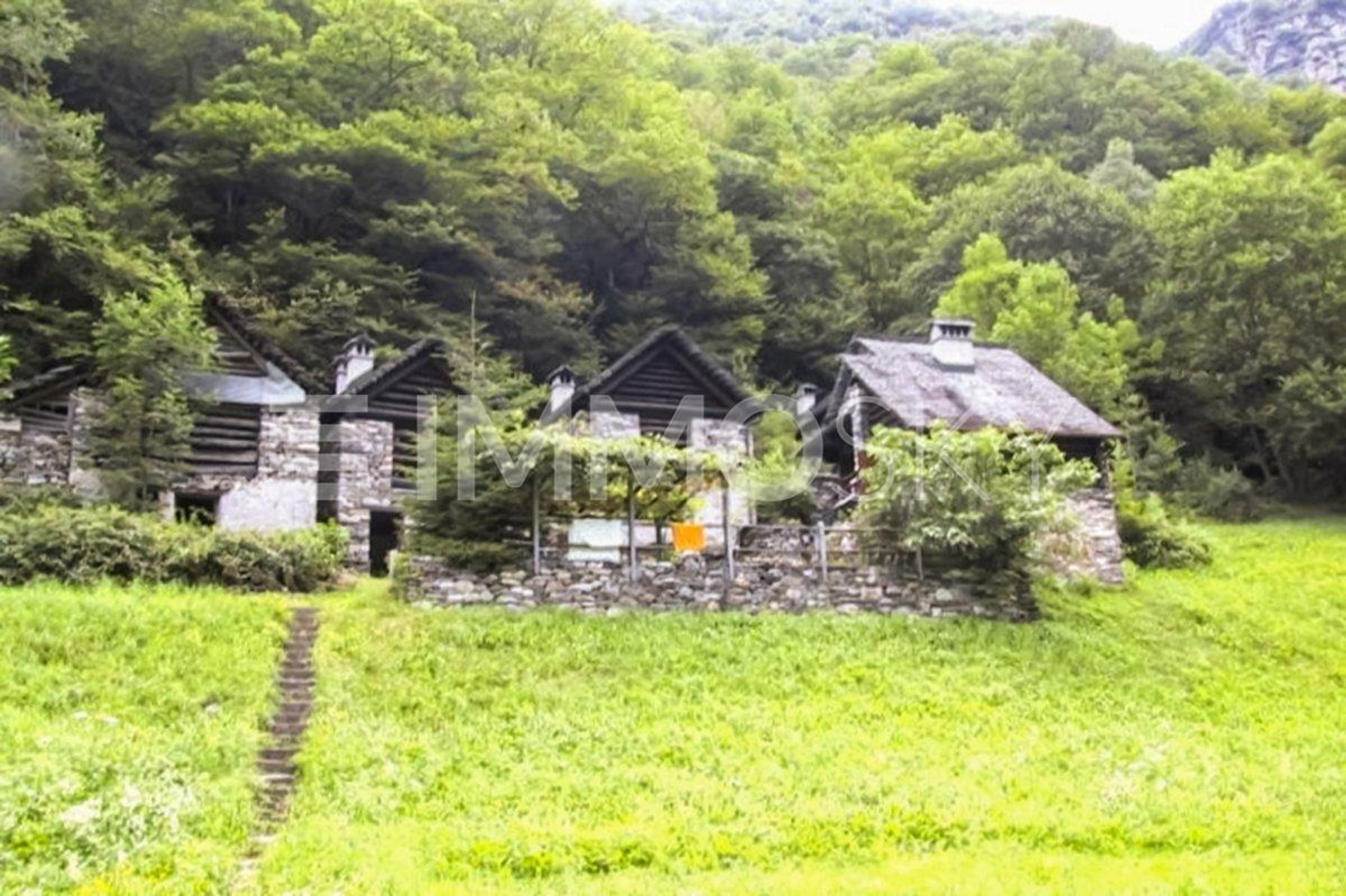 3 bellissimi rustici riattati - reddito garantito - Bild 1