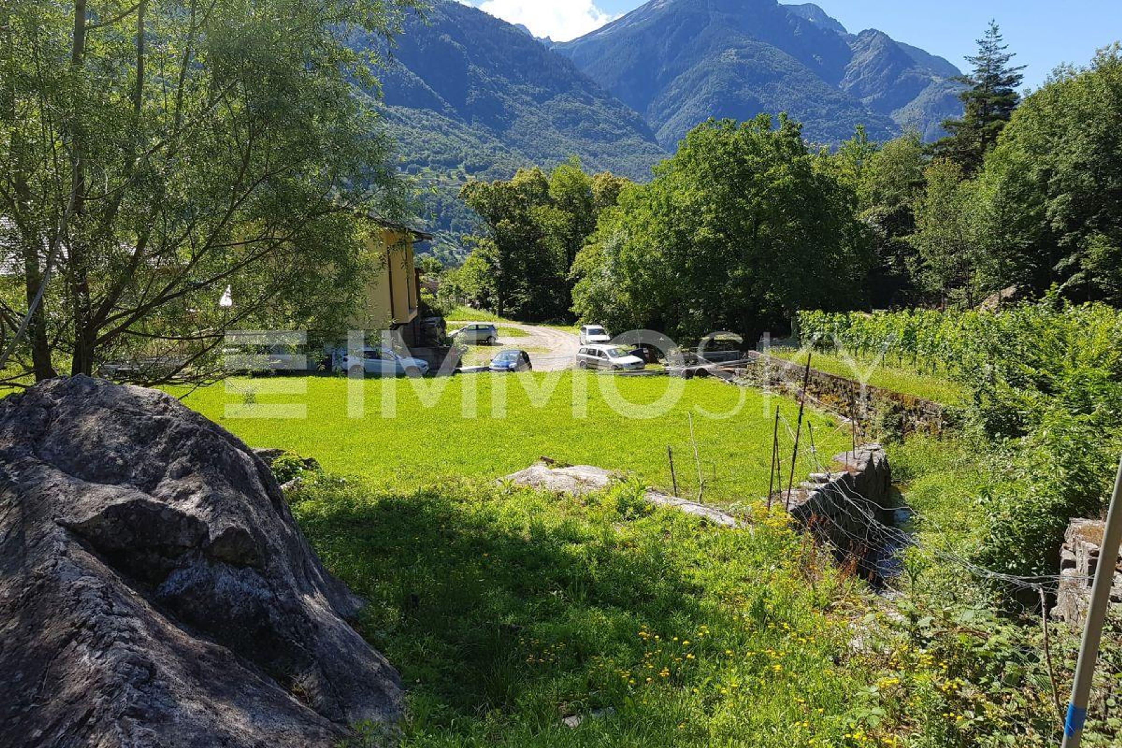 Tra sole e natura - Bild 5